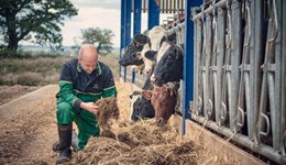 Staffordshire: Effective nutrition and genetic strategies for feed efficiency and quality milk